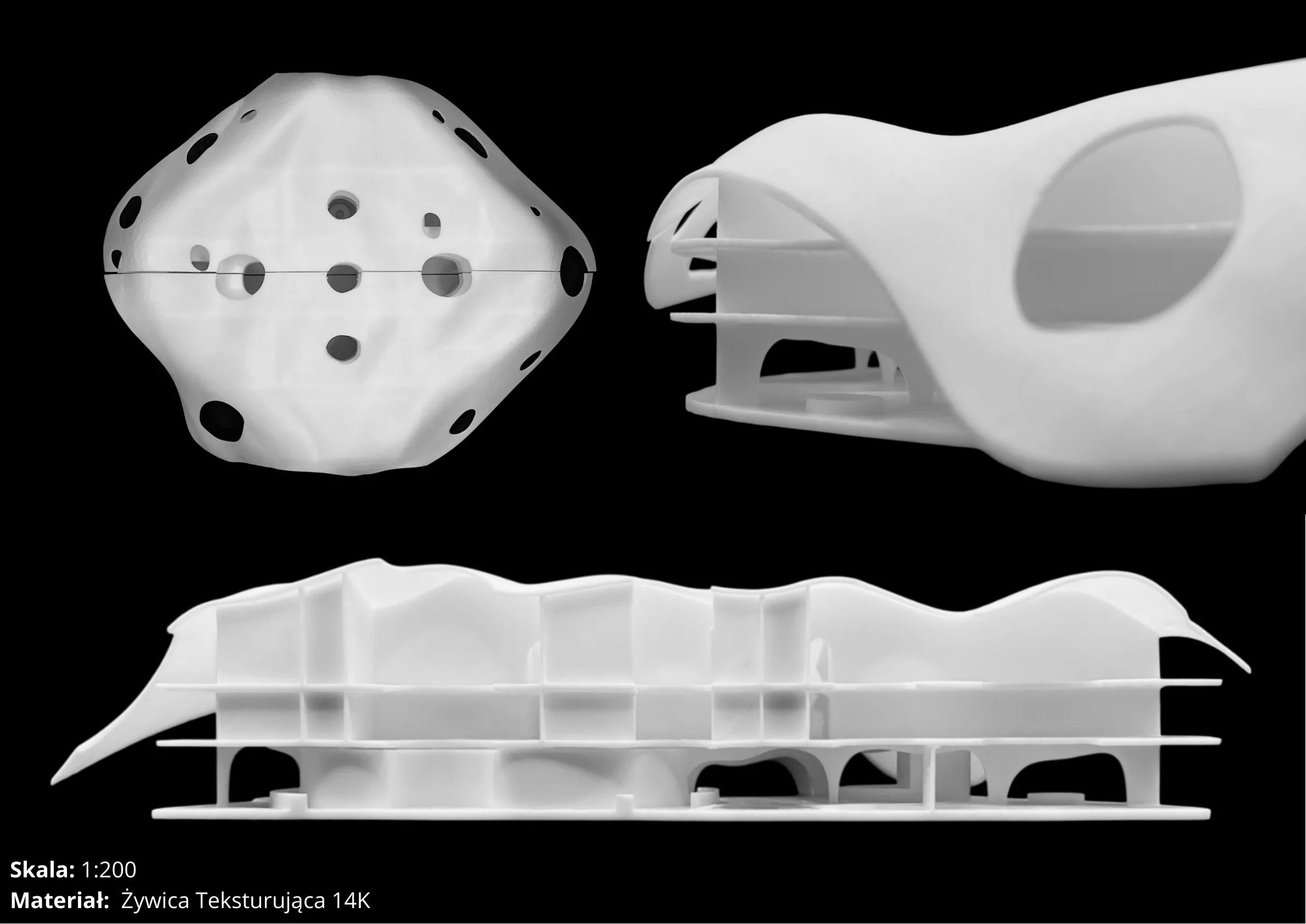 Morskie Echo — detale — plansza 8